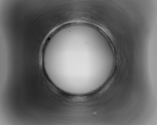 X0000099481224200805090827