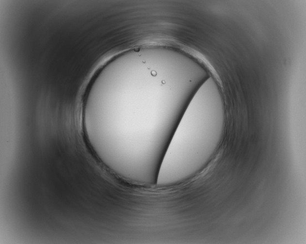X0000099481227200805090827