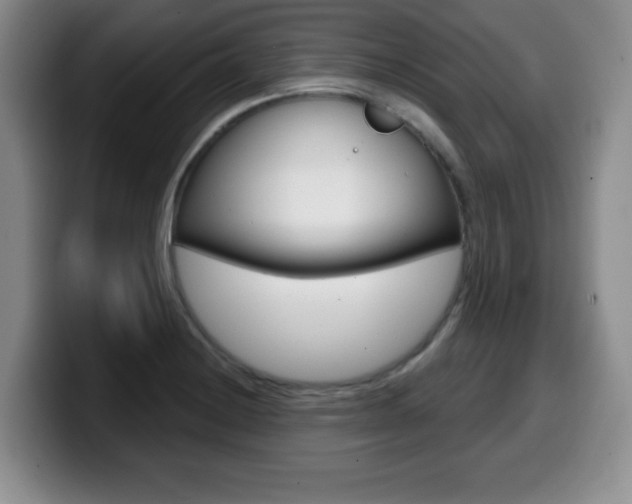 X0000099481228200805090827