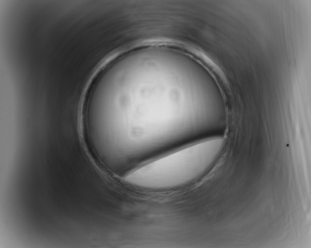 X0000099481229200805090827