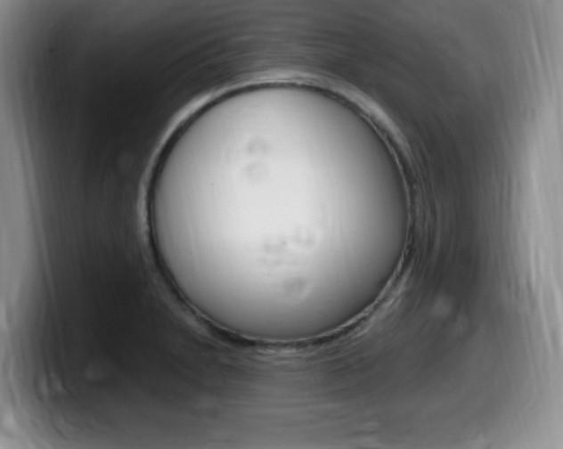 X0000099481230200805090827