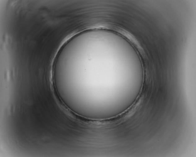 X0000099481234200805090827