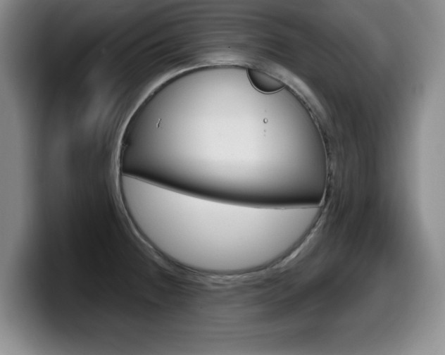 X0000099481236200805090827