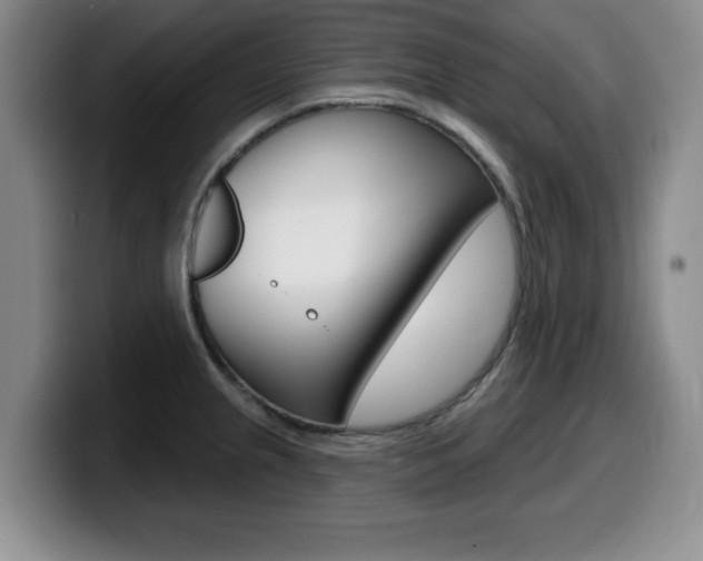 X0000099481237200805090827