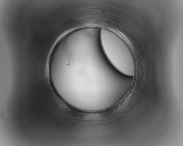 X0000099481238200805090827