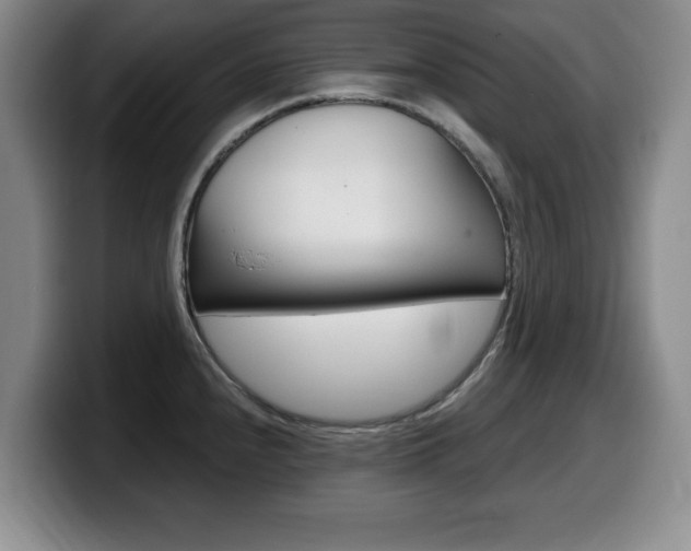 X0000099481240200805090827