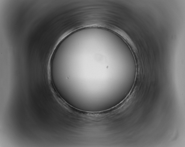 X0000099481242200805090827