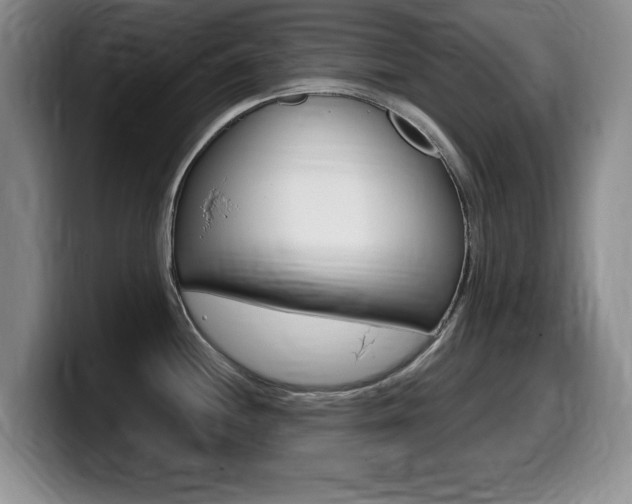 X0000099481244200805090827
