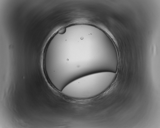 X0000099481245200805090827