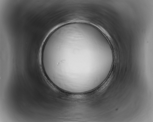 X0000099481246200805090827