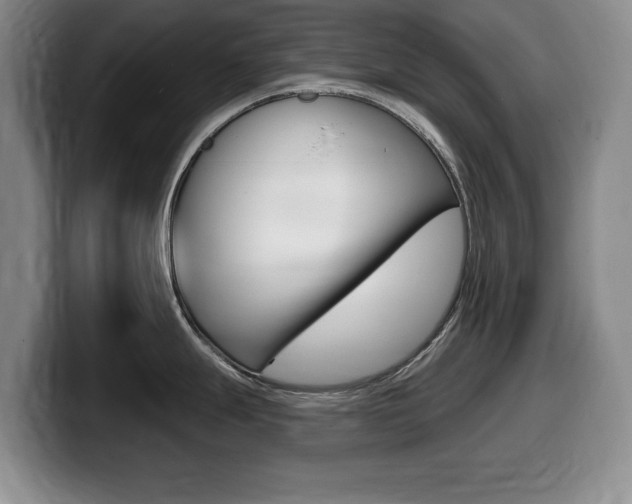 X0000099481247200805090827