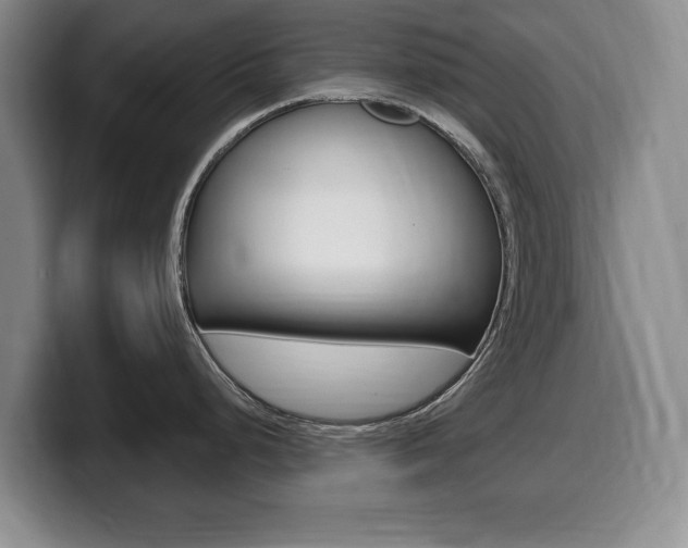 X0000099481248200805090827