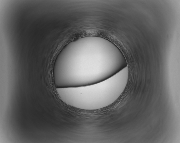 X0000099481249200805090826