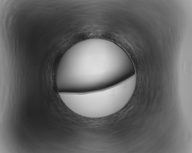 X0000099481250200805090826