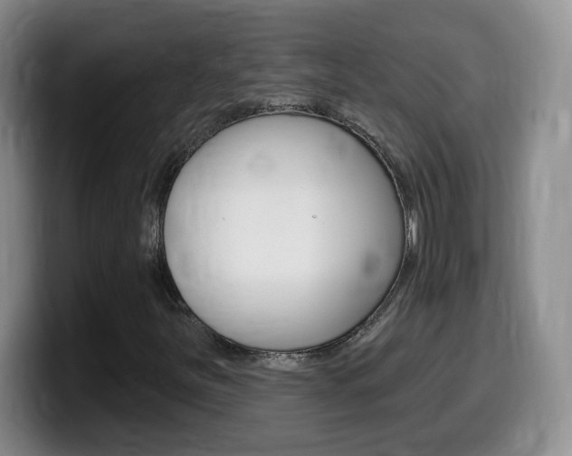 X0000099481251200805090826