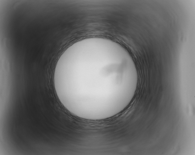 X0000099481252200805090826
