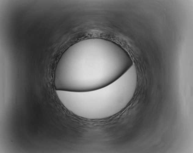 X0000099481253200805090826