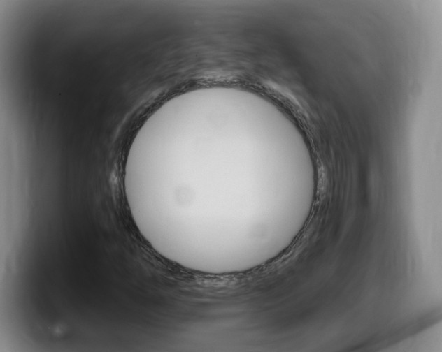 X0000099481254200805090826