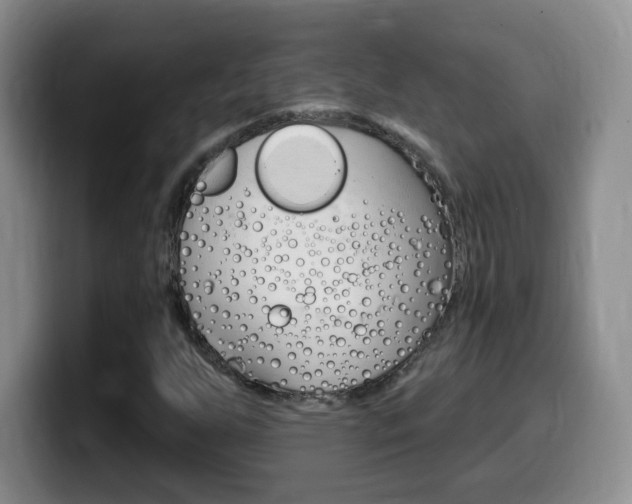 X0000099481255200805090826
