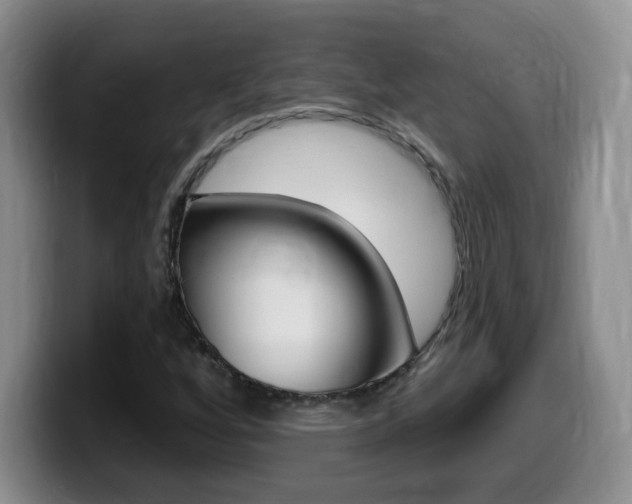 X0000099481256200805090826