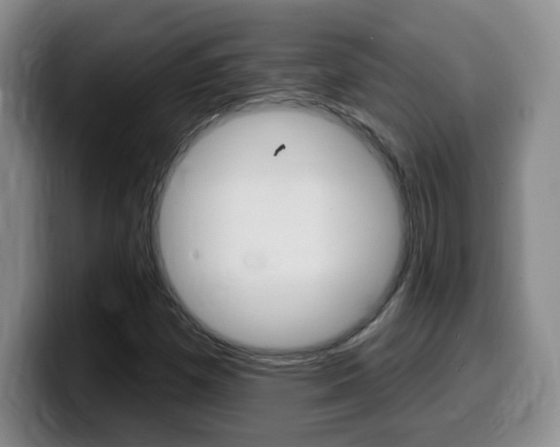 X0000099481257200805090826