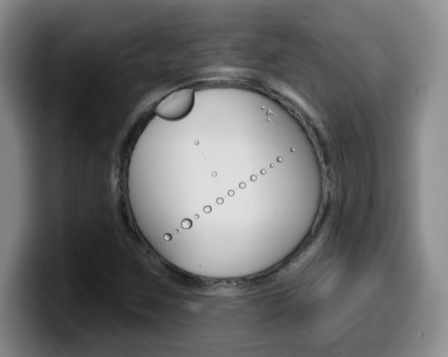 X0000099481259200805090826