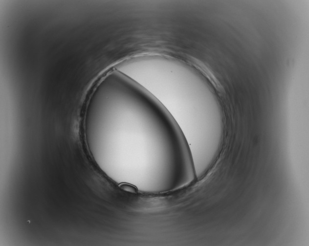 X0000099481260200805090826