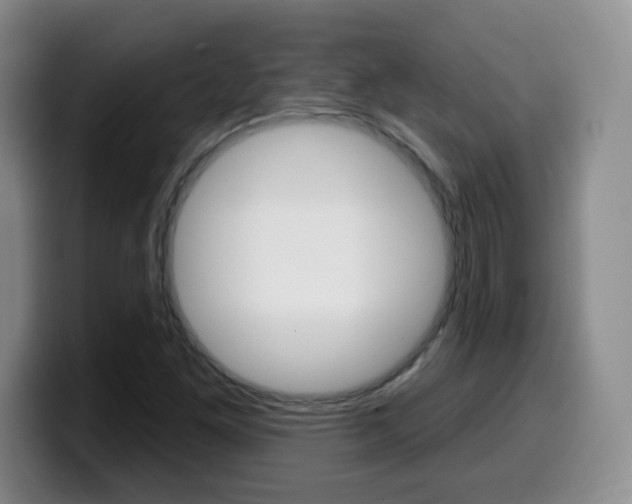 X0000099481261200805090826