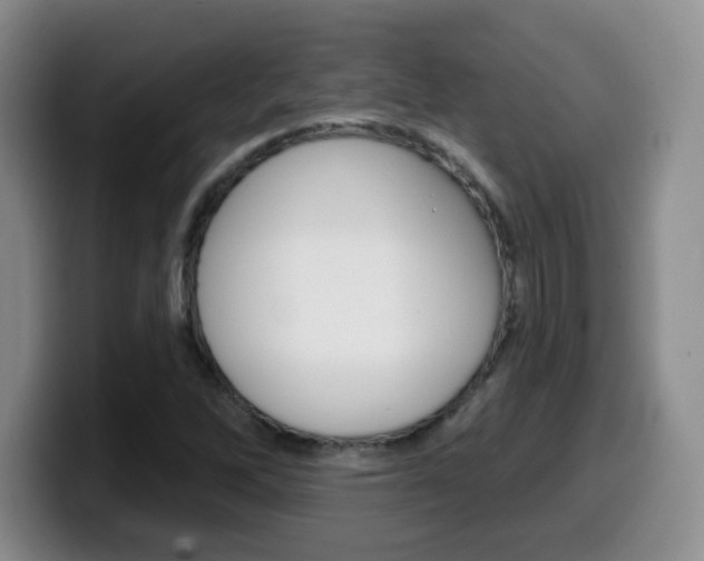 X0000099481262200805090826