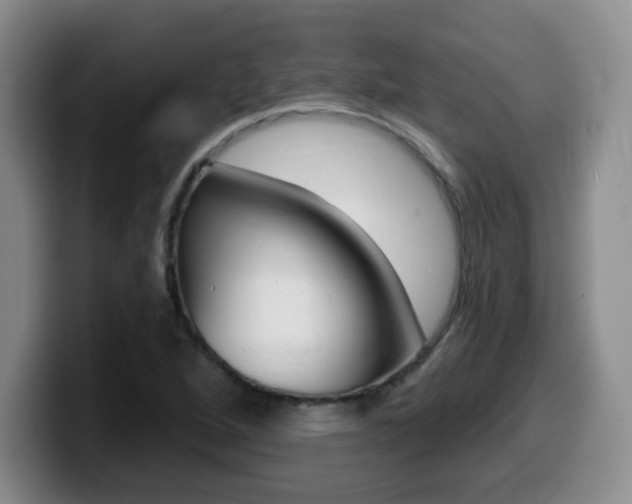 X0000099481264200805090826