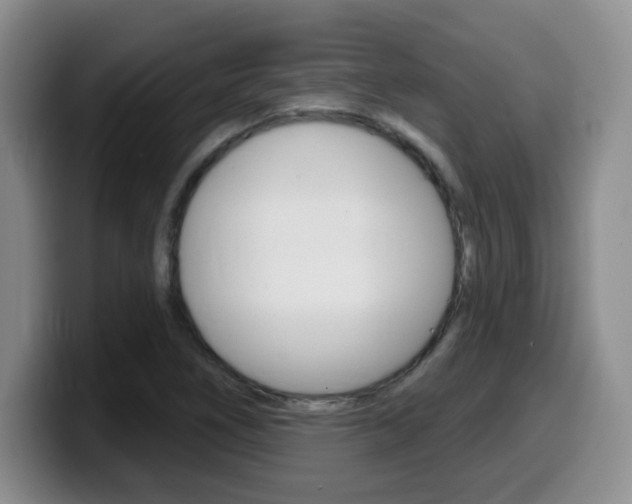 X0000099481266200805090826