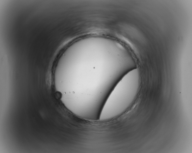 X0000099481267200805090826