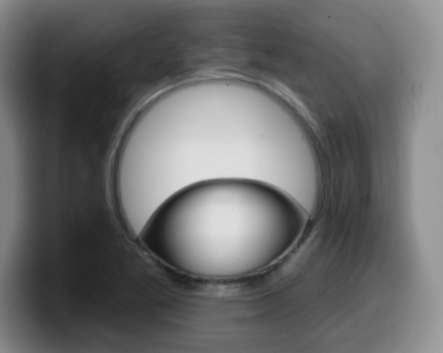 X0000099481269200805090826