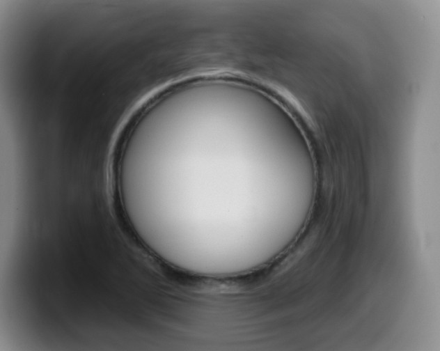 X0000099481270200805090826