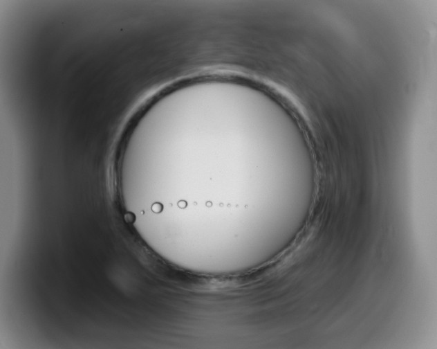 X0000099481271200805090826