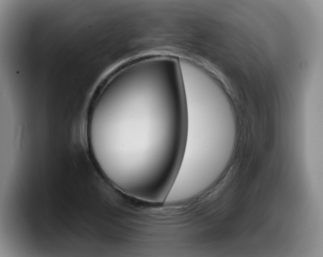 X0000099481272200805090826