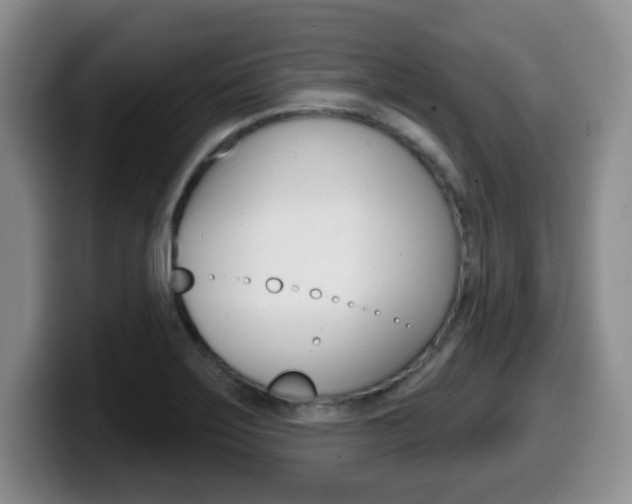 X0000099481275200805090826