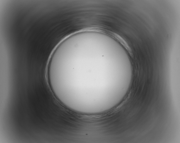 X0000099481276200805090826
