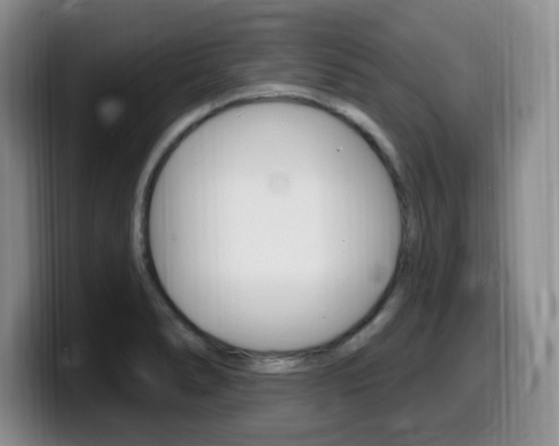 X0000099481278200805090826