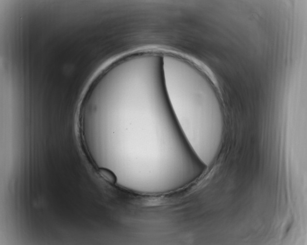 X0000099481279200805090826