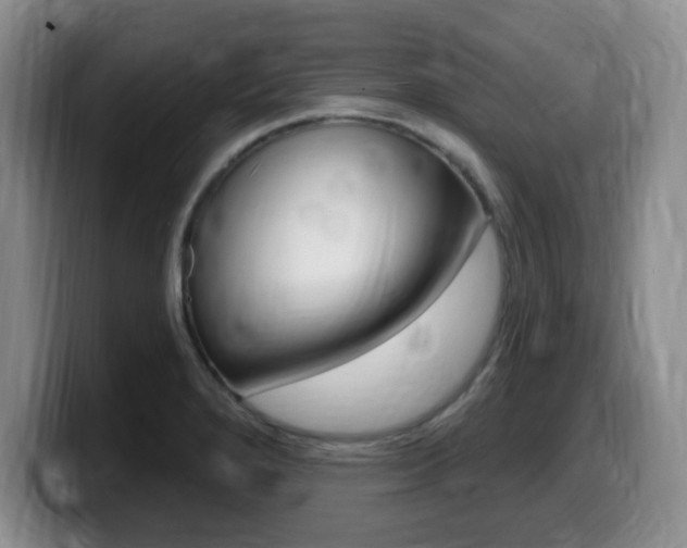 X0000099481280200805090826