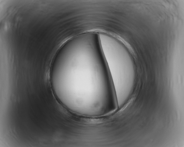 X0000099481281200805090826