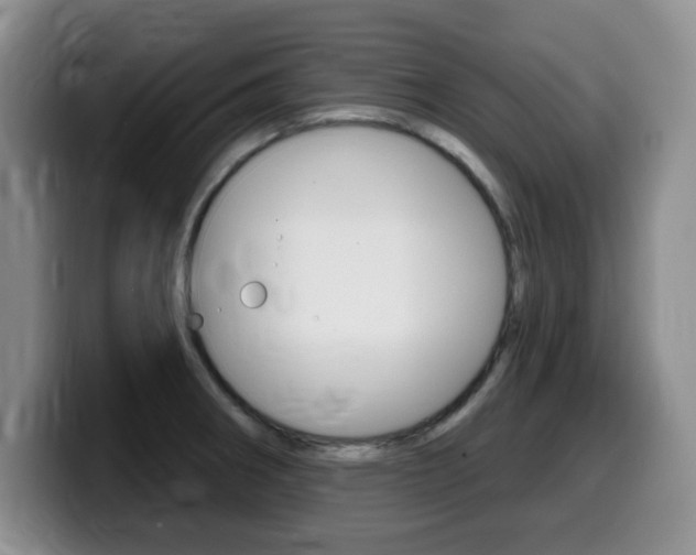 X0000099481282200805090826