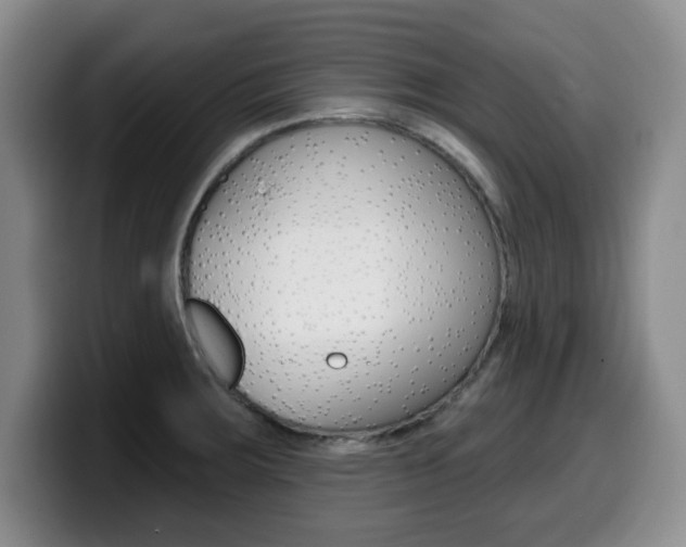 X0000099481283200805090826