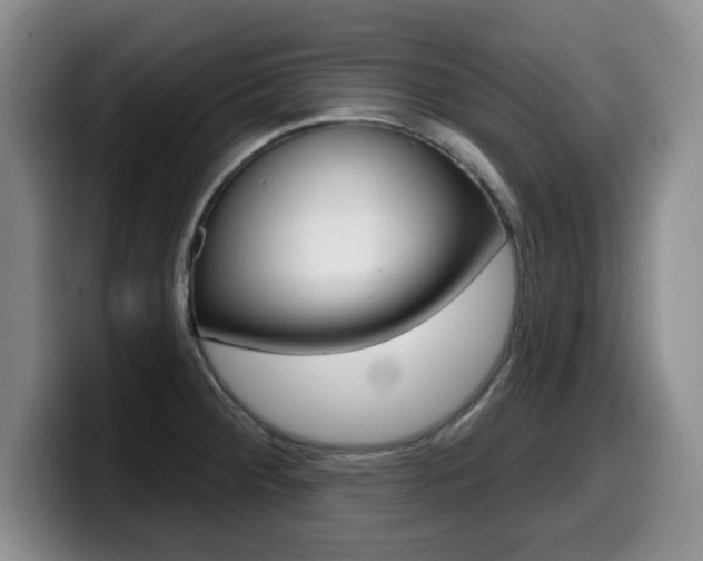 X0000099481284200805090826