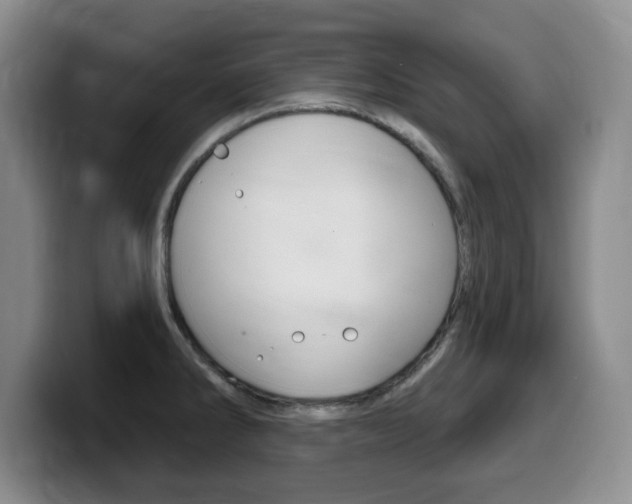 X0000099481286200805090826