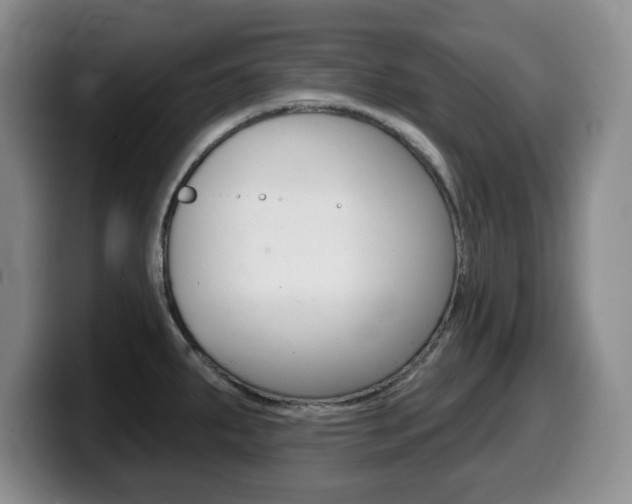 X0000099481287200805090826