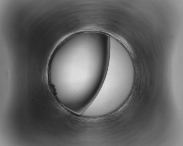 X0000099481288200805090826