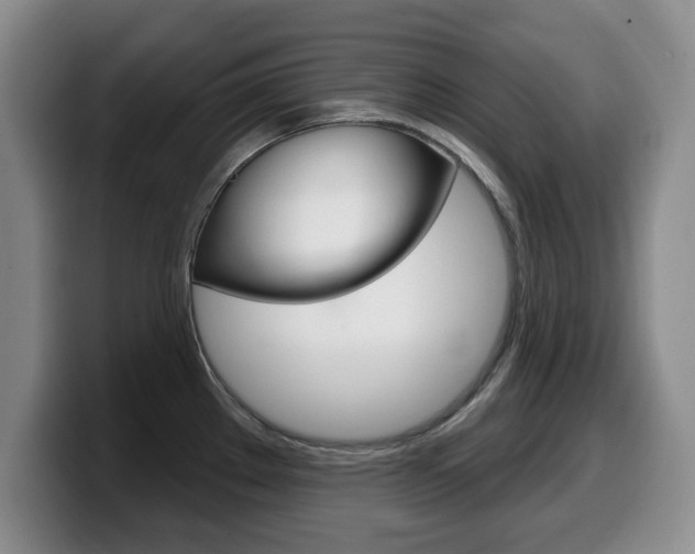 X0000099481289200805090826