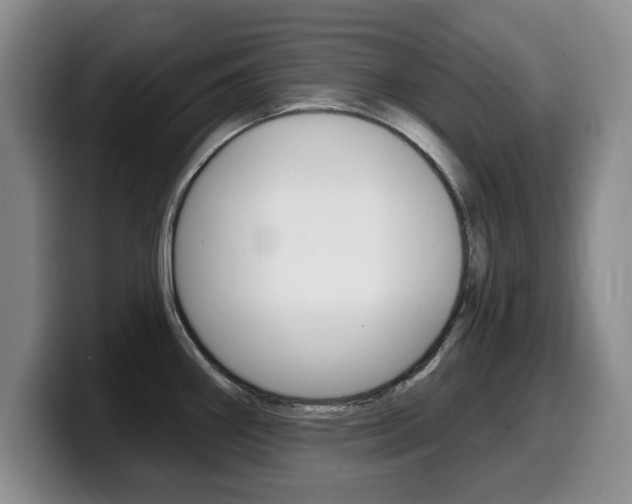 X0000099481290200805090826